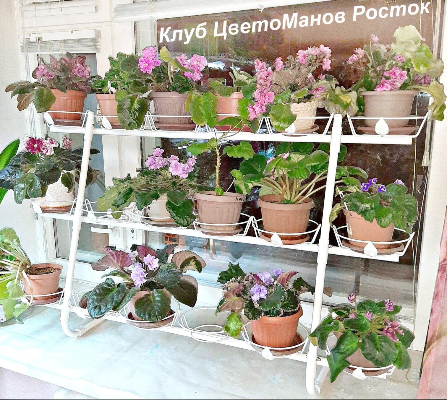 стеллаж для цветов красивый на окно 